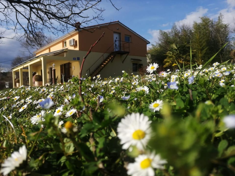 Golden Valley apartment & ranch Apartment in Istria County