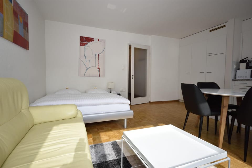 Nice studio in the city center - Vineyard 22 Apartment in Zurich City