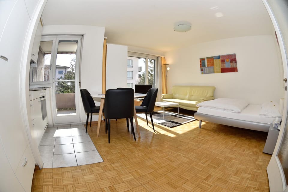 Nice studio in the city center - Vineyard 22 Apartment in Zurich City