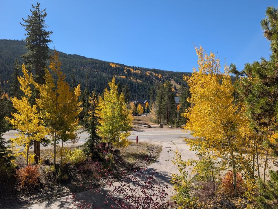 Keystone Prospectors Home 669 by SummitCove Lodging House in Keystone