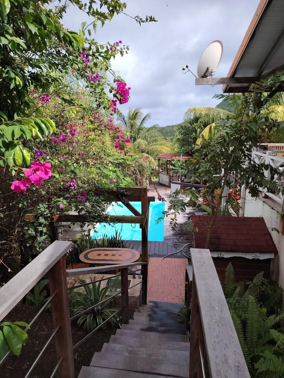 Natural landscape, Garden, Garden view, Swimming pool