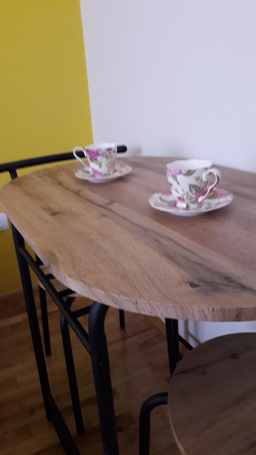 Studio Hana Apartment in Novi Sad