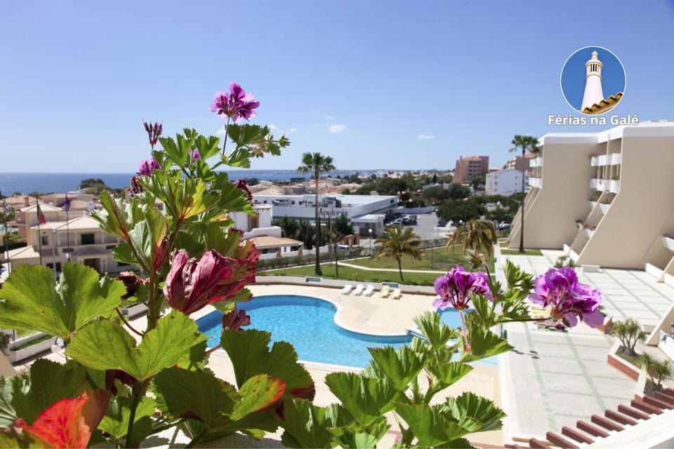Pool view, Sea view