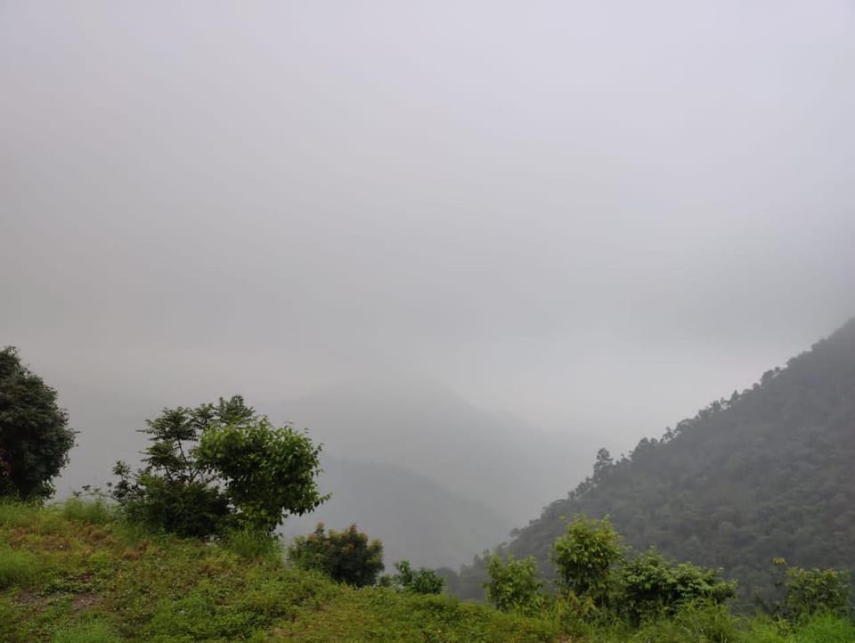 Natural landscape
