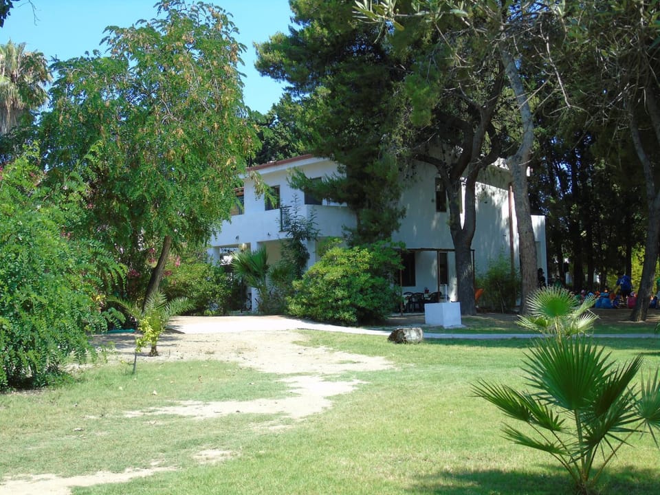Property building, Day