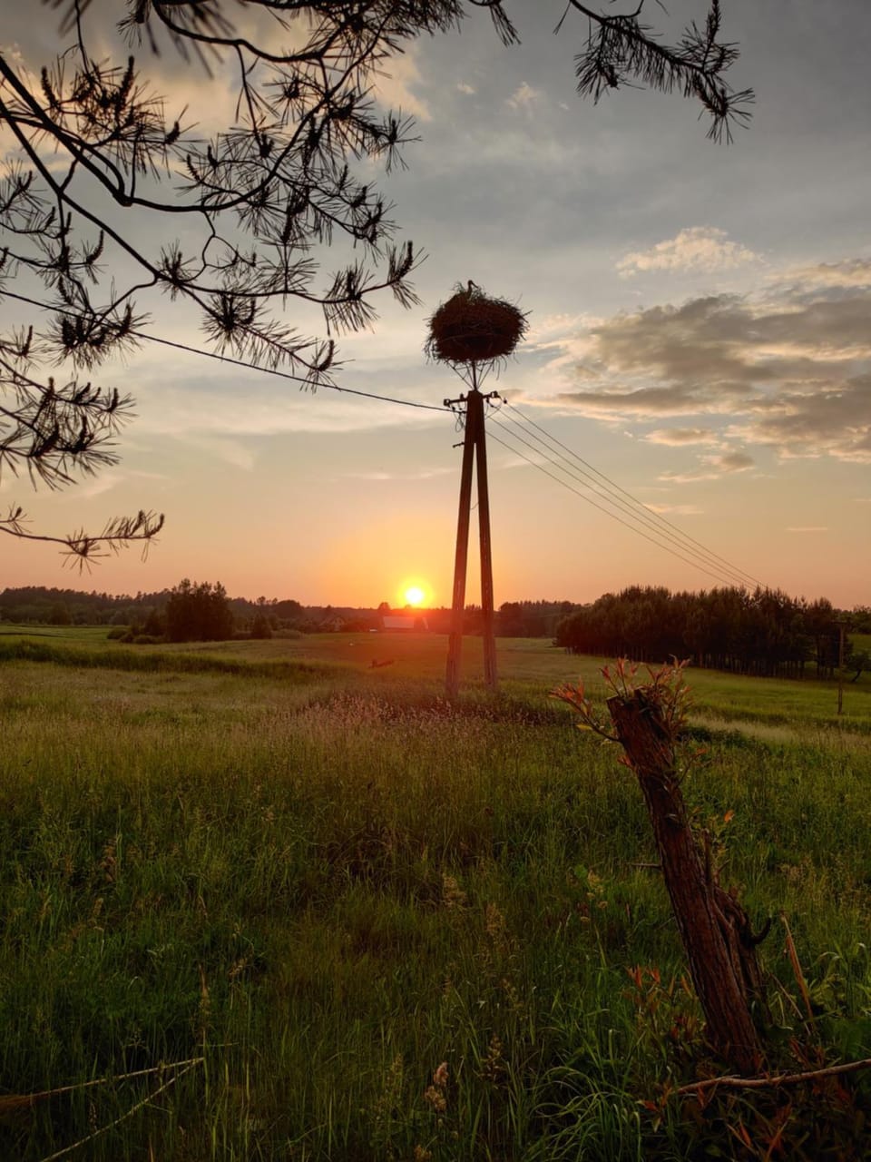 Natural landscape, Windsurfing, Sunset