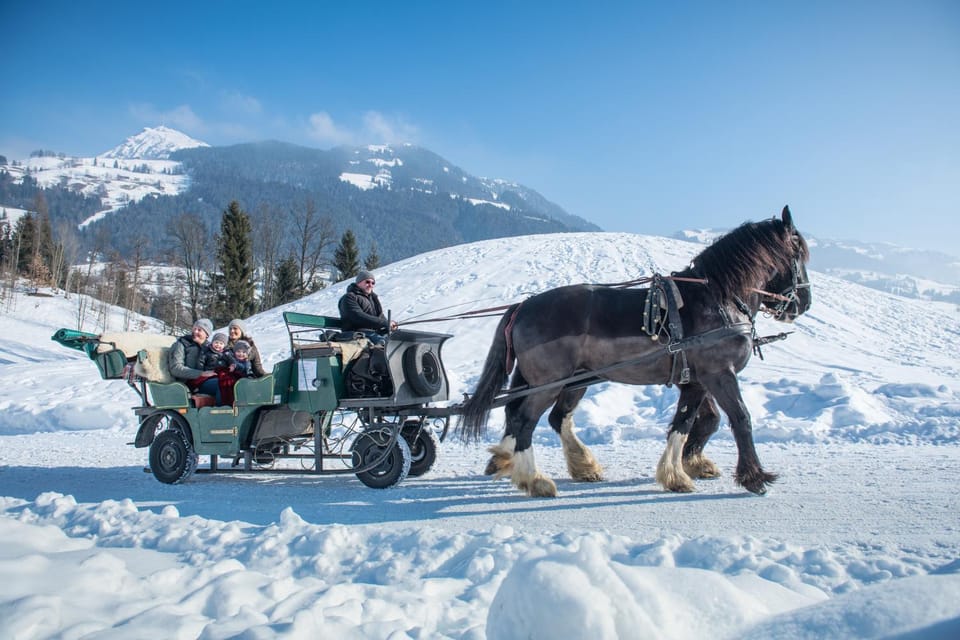 Day, People, Natural landscape, Winter, Horse-riding, Animals