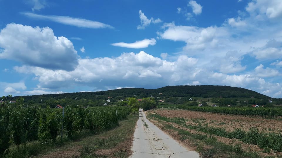 Natural landscape