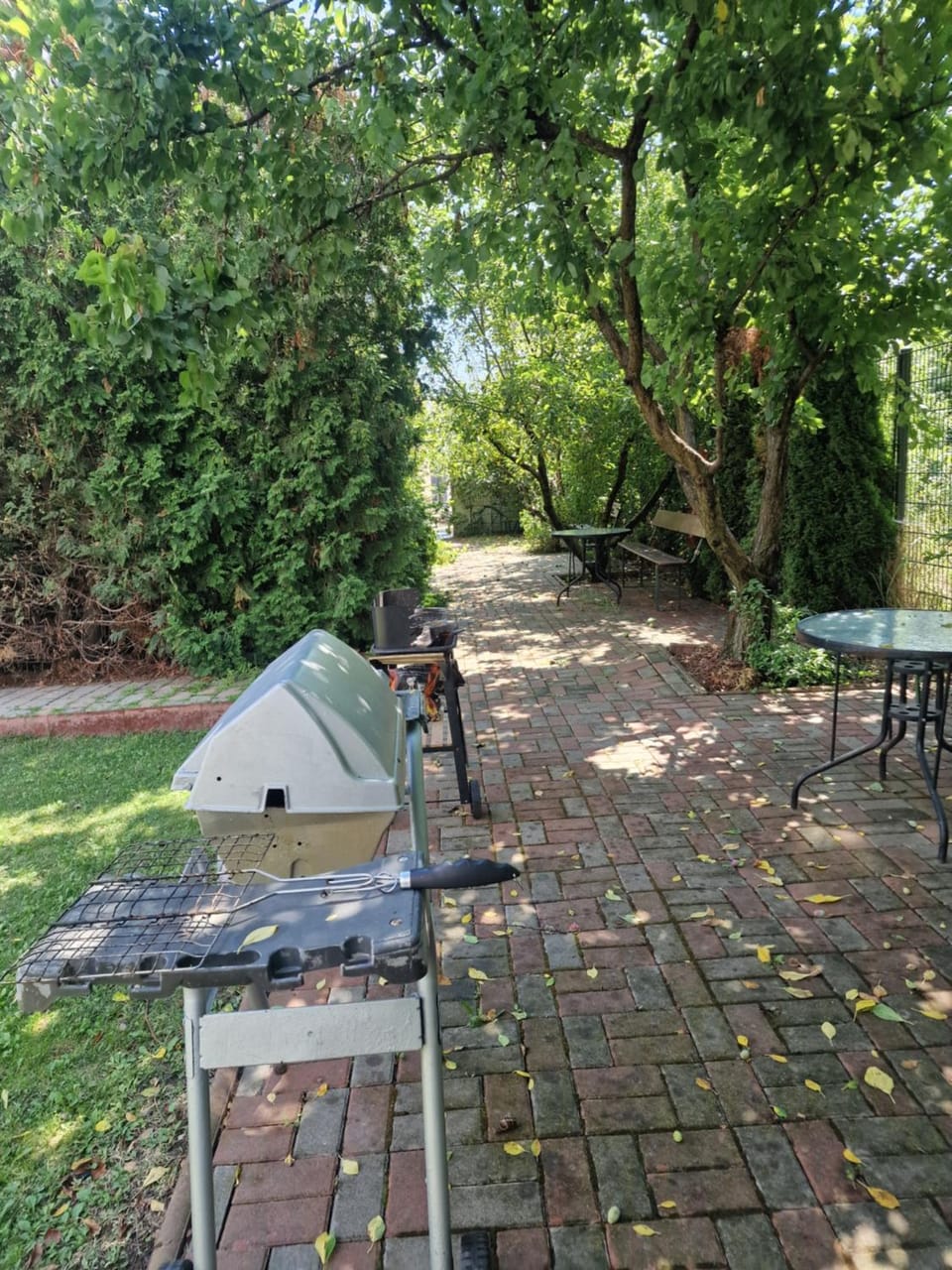 Ametist Casa Leului Bed and Breakfast in Constanța County