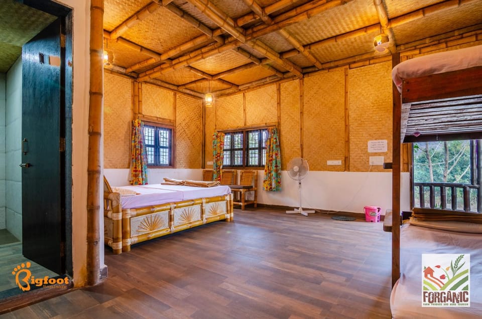 Bed, Photo of the whole room, Bedroom, bunk bed