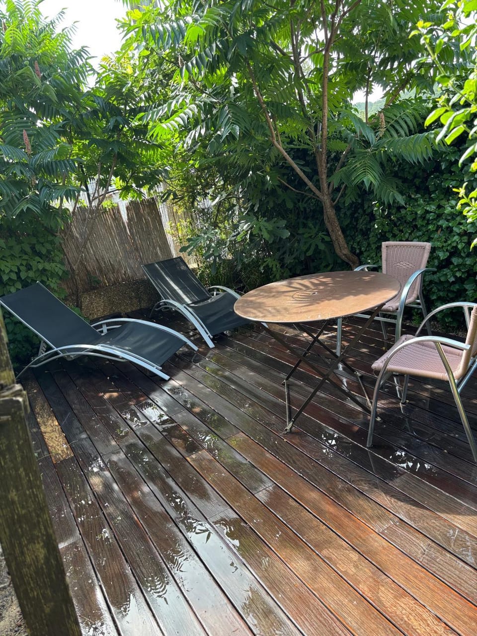 Garden, Balcony/Terrace