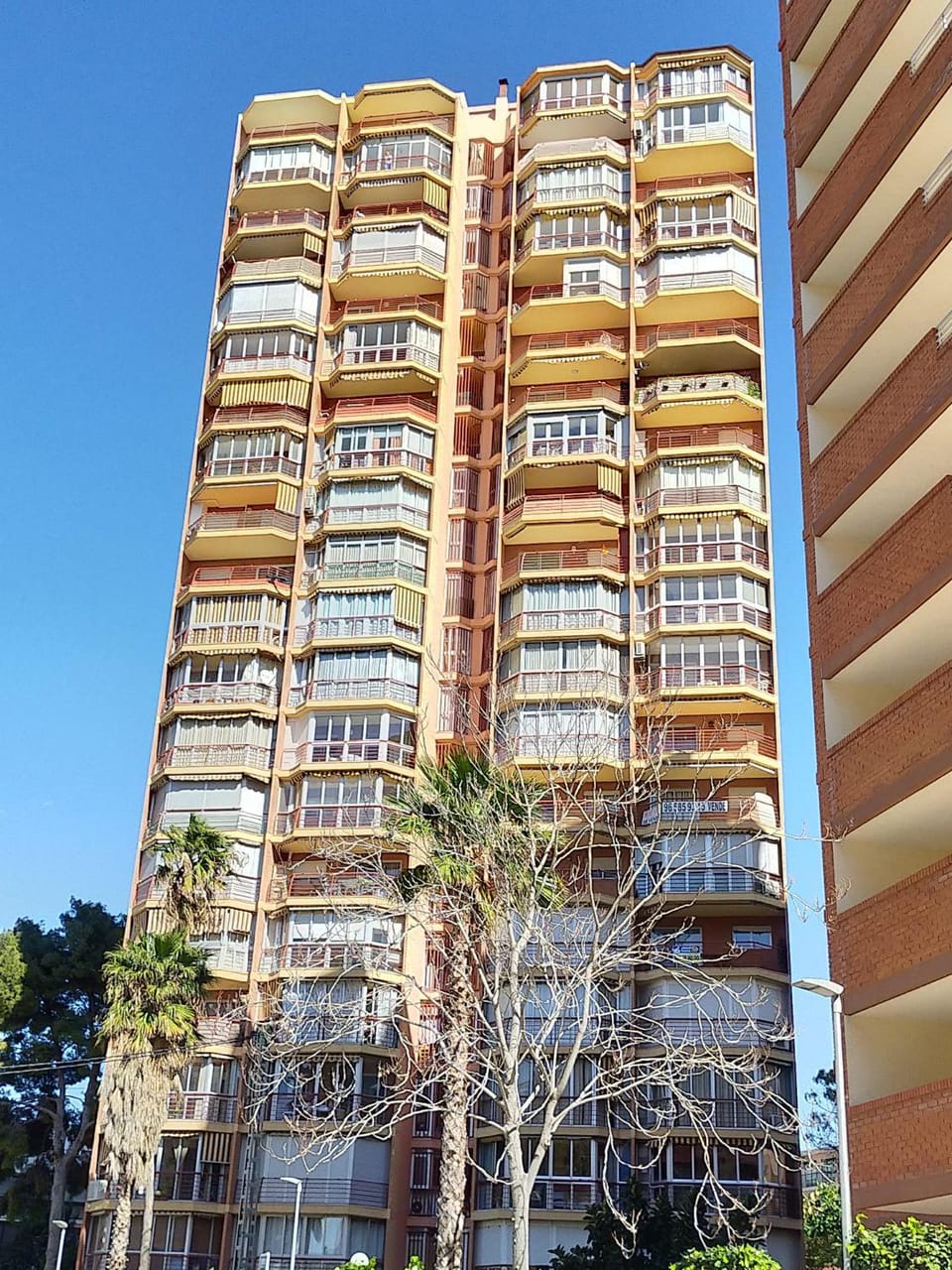 GARDEN - TURIS PLUS Apartamentos Apartment in Benidorm