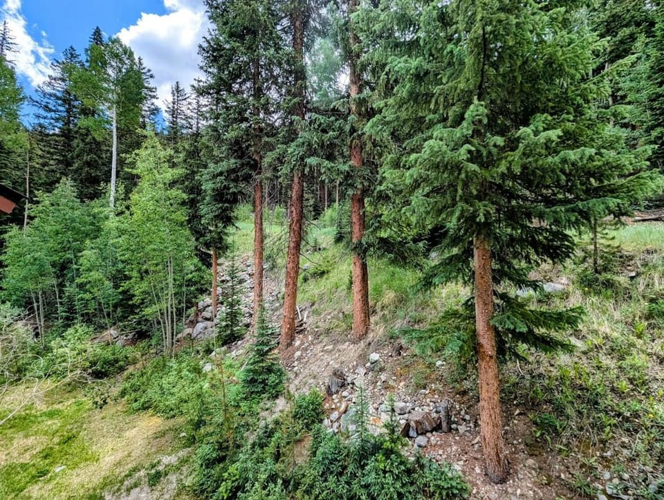 Settlers Creek 6535 by SummitCove Lodging in Colorado House in Keystone