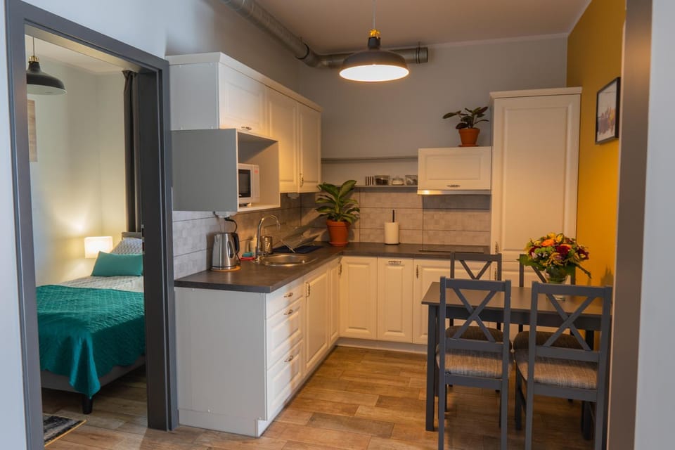 Kitchen or kitchenette, Photo of the whole room, Dining area, Bedroom