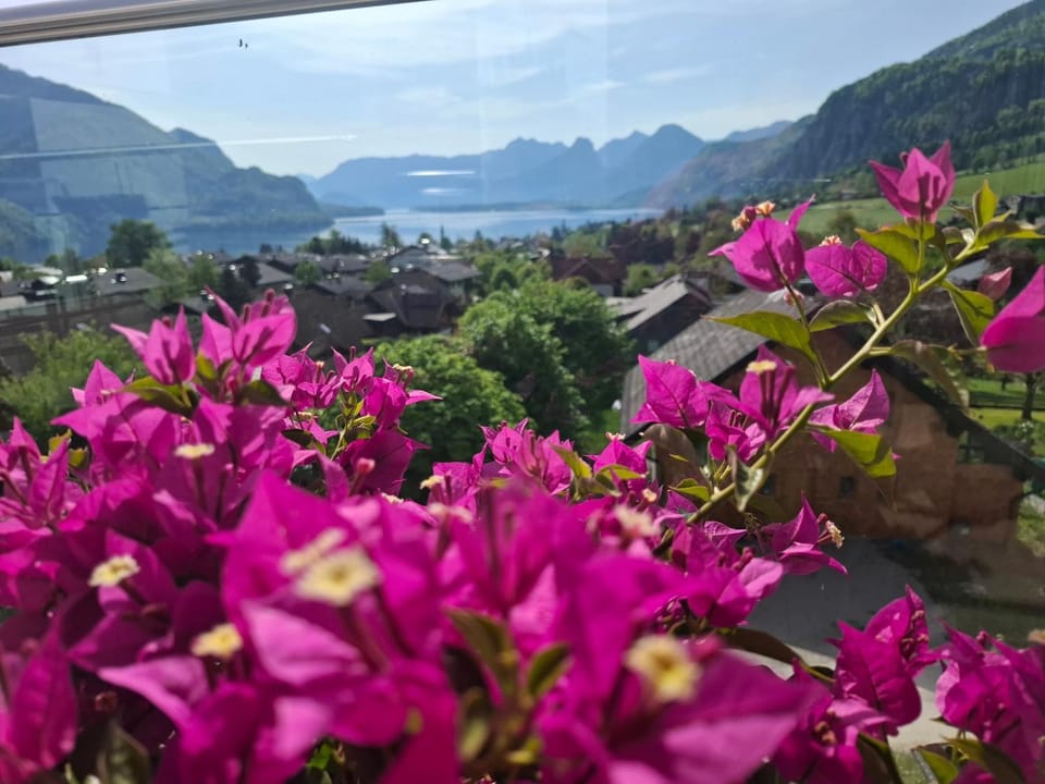 Traum Blick Sankt Gilgen Apartment in Salzburgerland