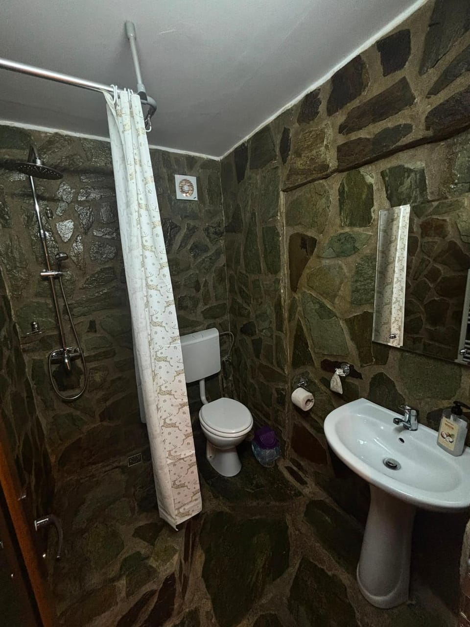 Pensiunea Sălaș Bed and Breakfast in Romania