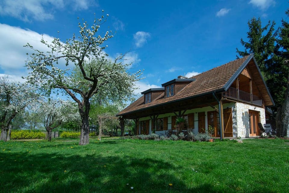 Spring, Garden