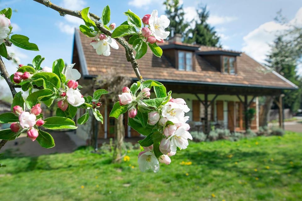 Villa Pod Koniem Apartment in Masovian Voivodeship