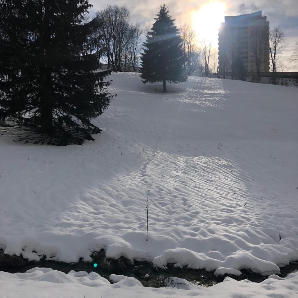 Pano Hohegeiß App 363 mit Wlan Apartment in Braunlage