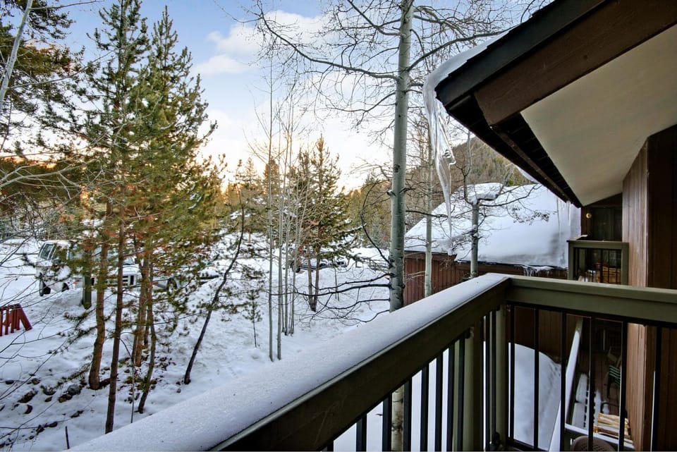 Wild Irishman 1043 by SummitCove Lodging in Colorado House in Keystone