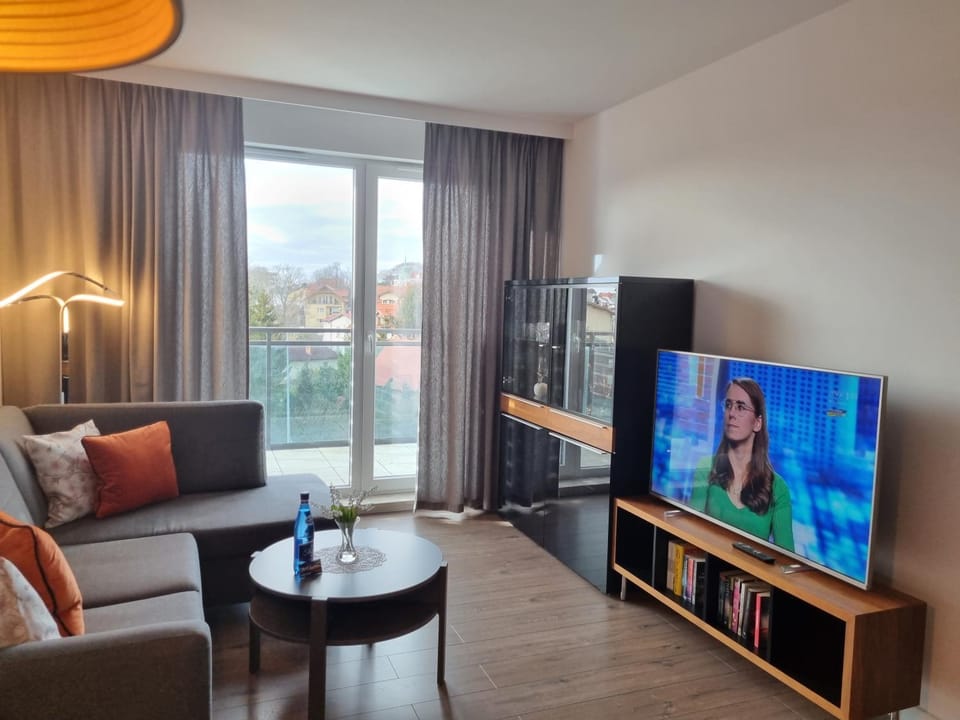 Communal lounge/ TV room, TV and multimedia, Living room