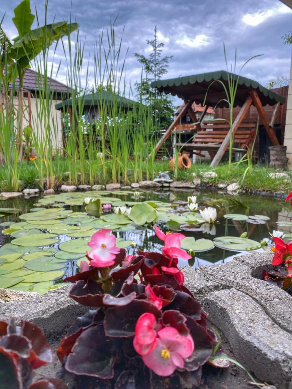 Garden view