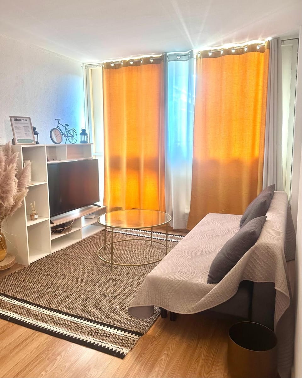 Le Saint Jaumes parking inclus Apartment in Montpellier