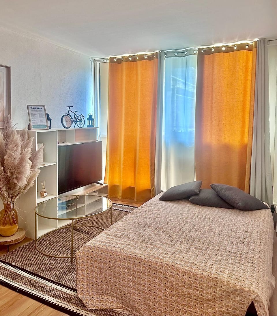 Le Saint Jaumes parking inclus Apartment in Montpellier