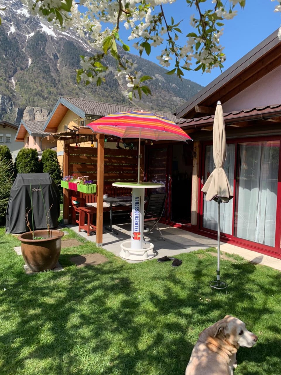 Patio, Garden view, Mountain view