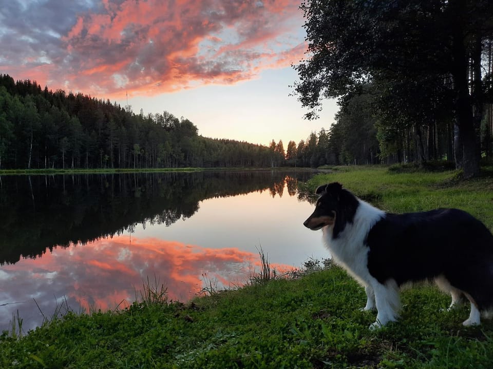 saunamökki Rauhala,LaatuLomat Chalet in Finland