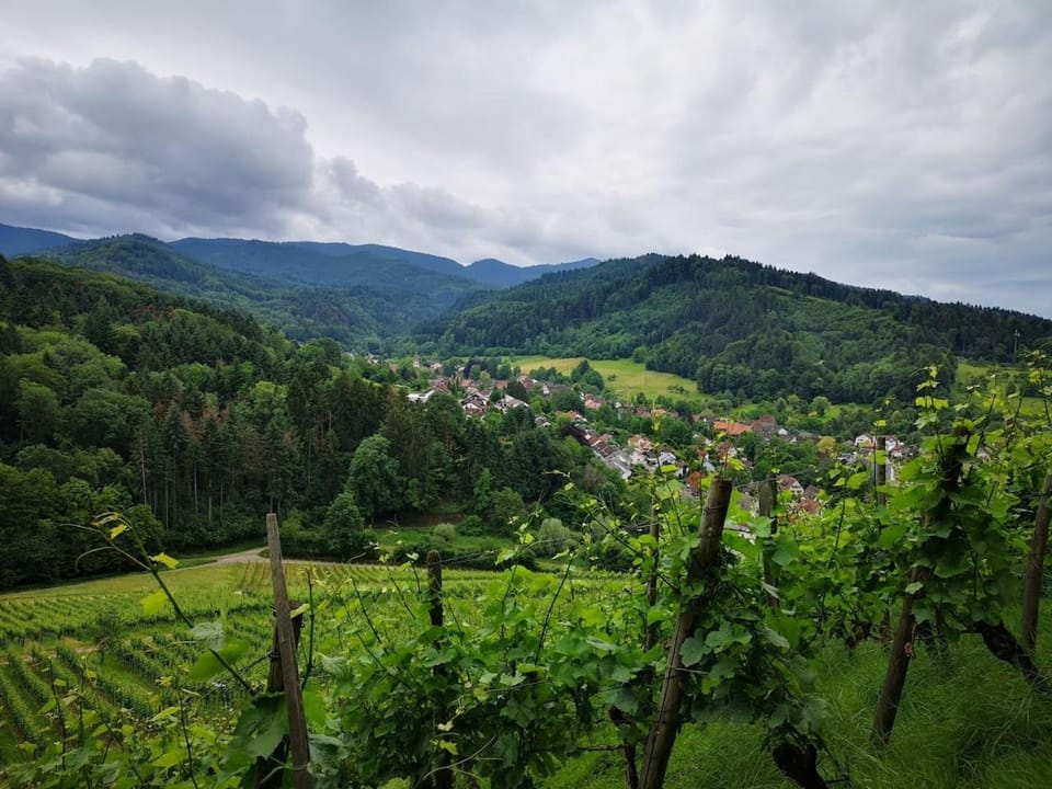 Nearby landmark, Natural landscape, Hiking