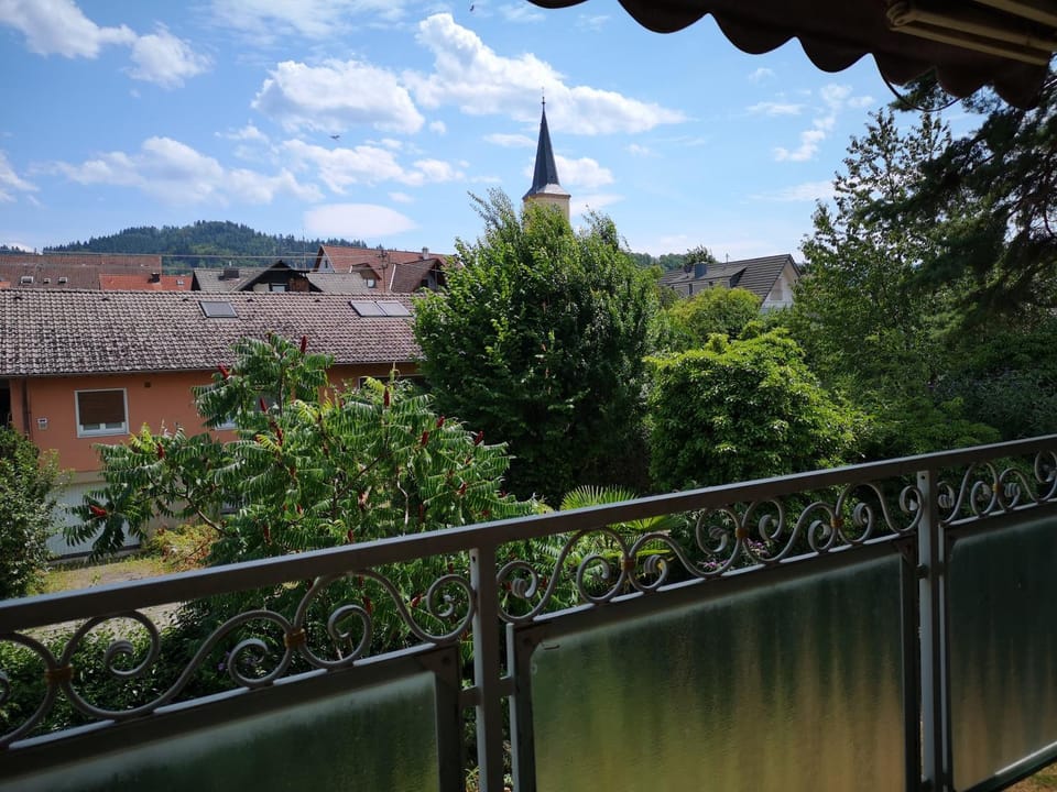 Natural landscape, View (from property/room), Balcony/Terrace, City view, Mountain view