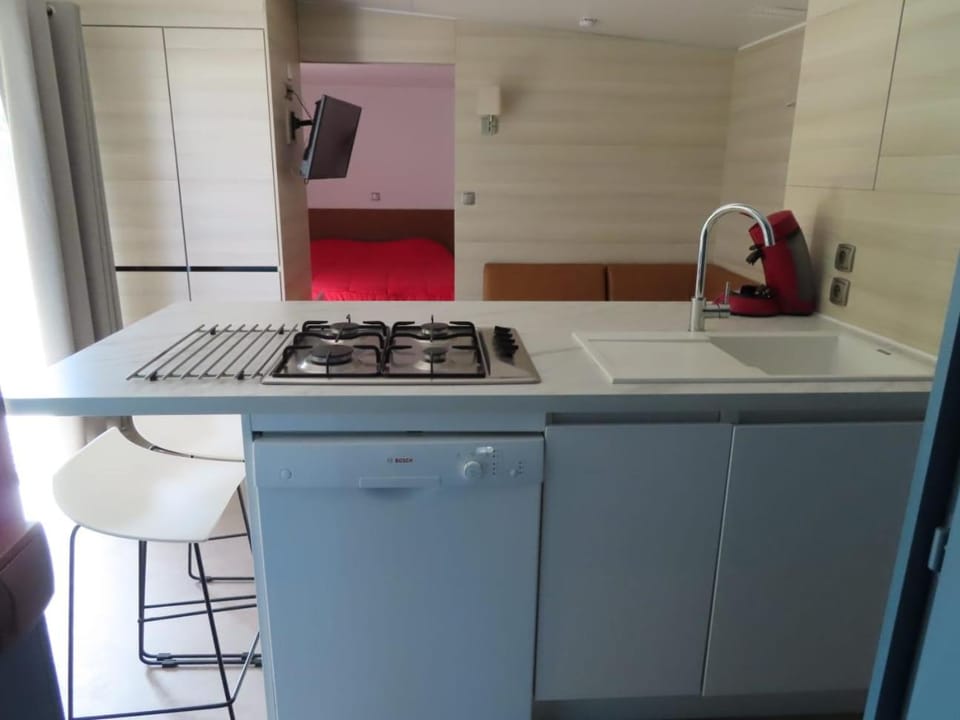 Kitchen or kitchenette, dishwasher, stove