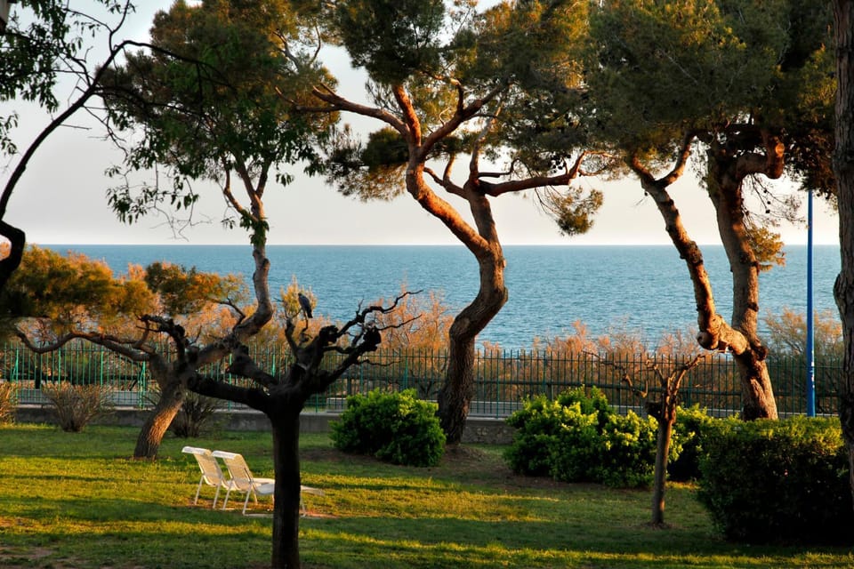 Garden, Sea view