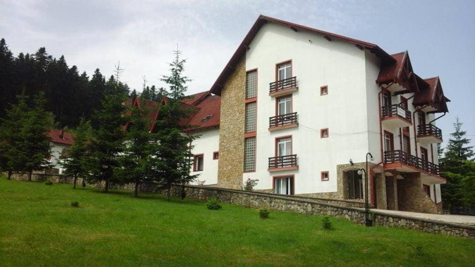 Hotel Floare de Colt Hotel in Romania