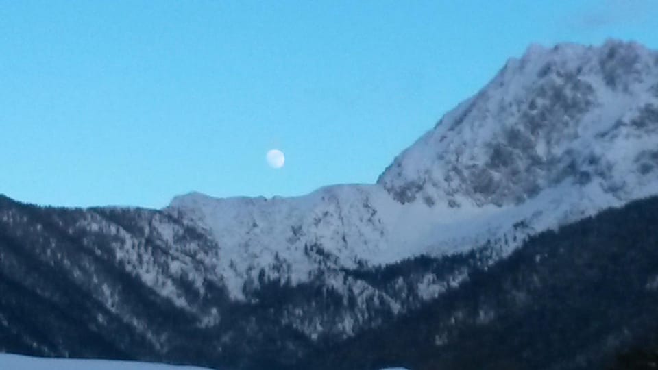 Winter