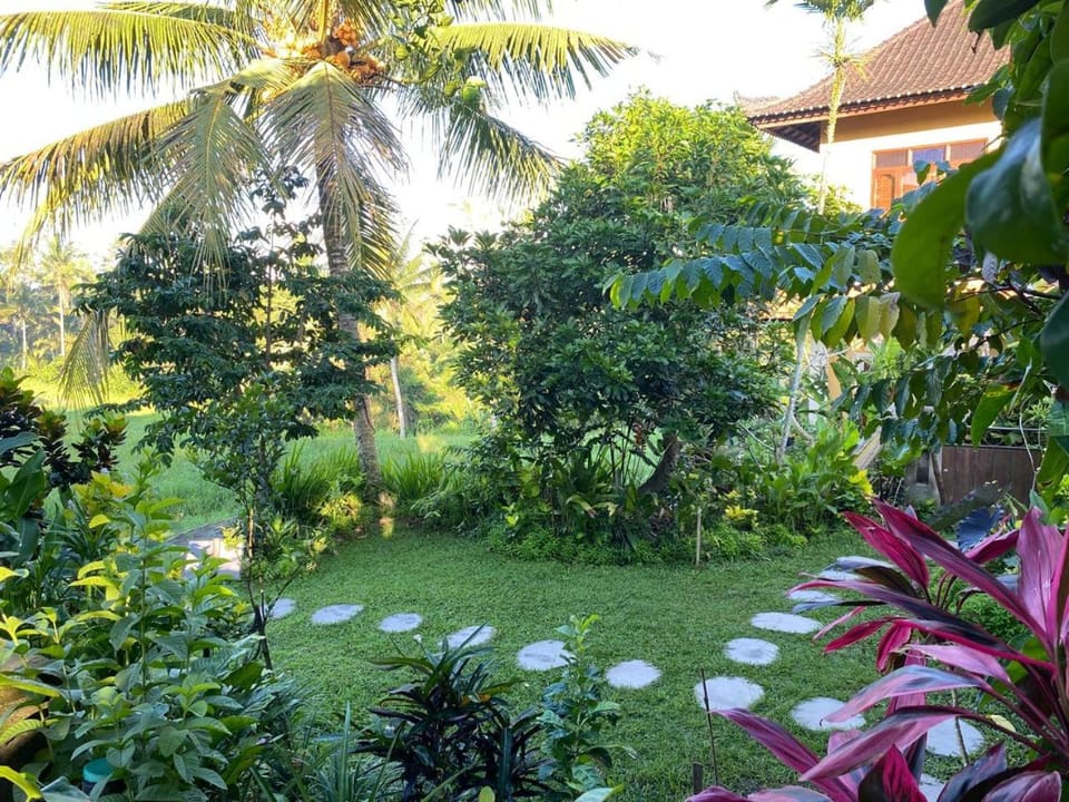 Natural landscape, Garden