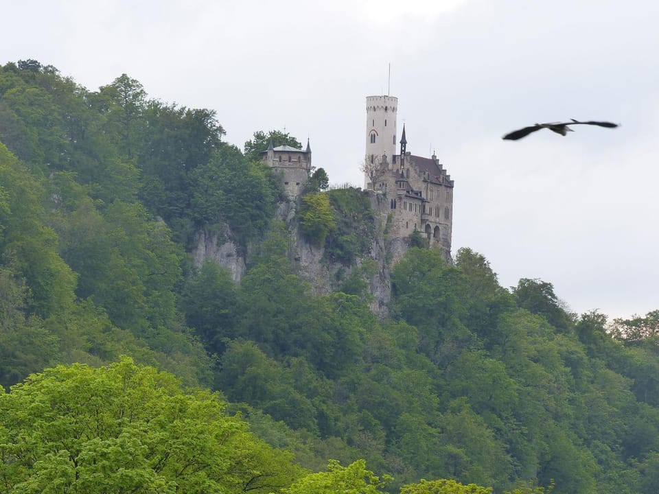 Nearby landmark