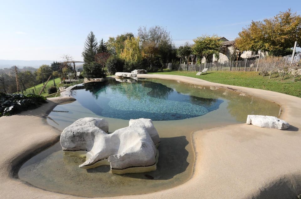 Day, Garden, Pool view, Swimming pool