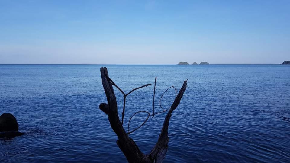 Natural landscape