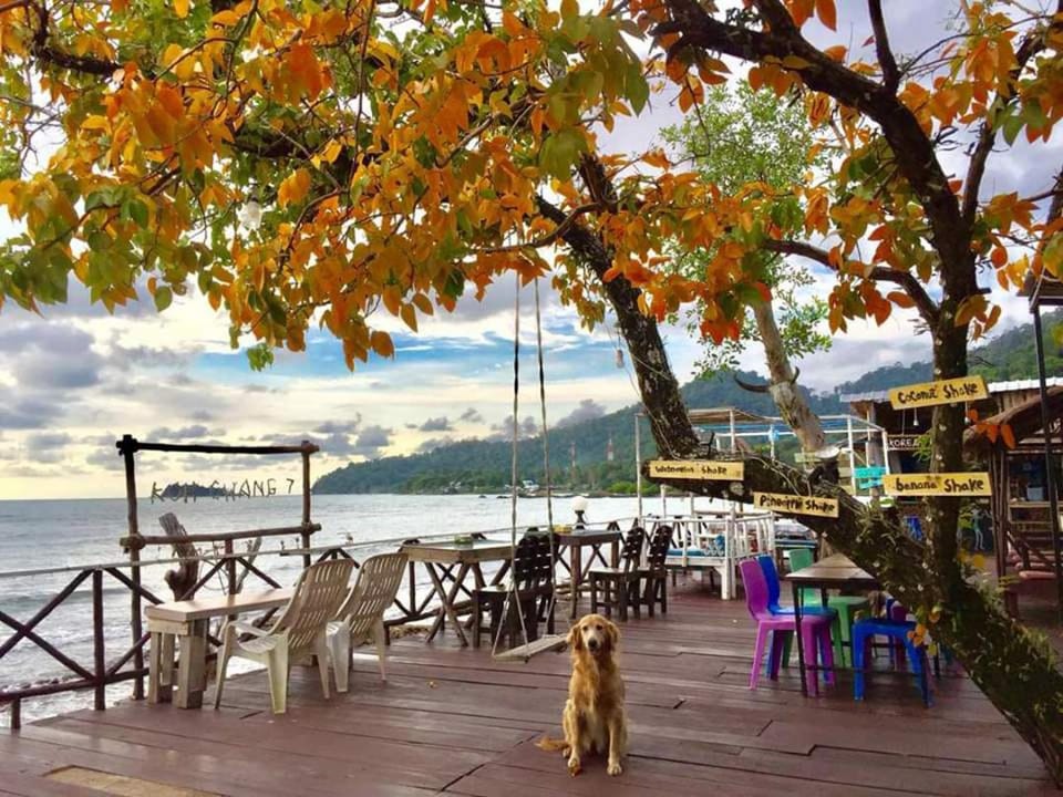 Restaurant/places to eat, Sea view