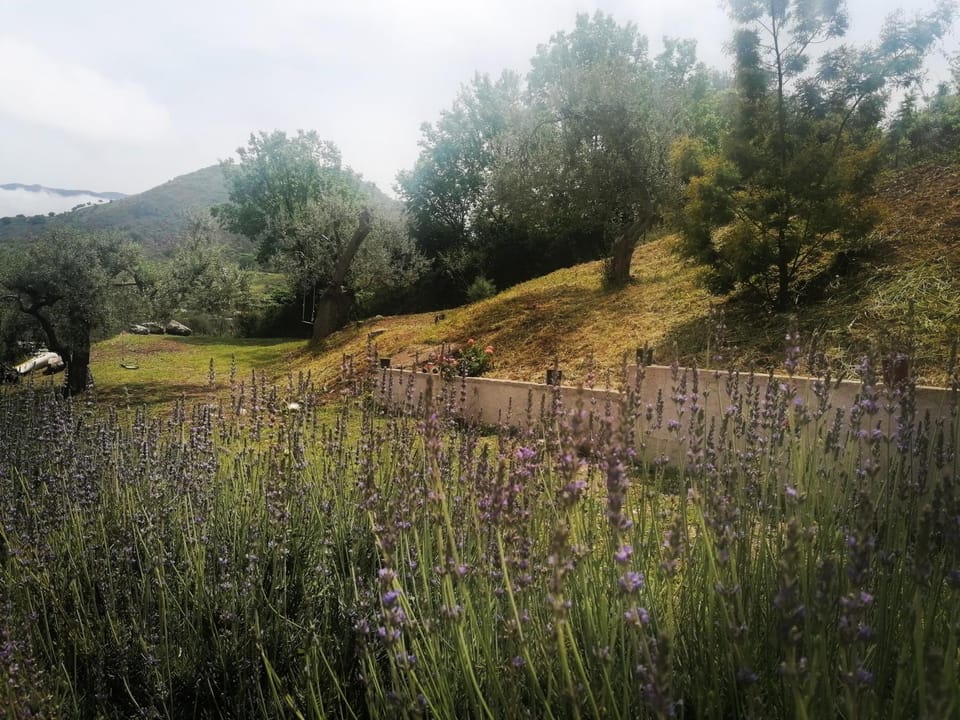 L'Opuntia sul lago House in Sicily