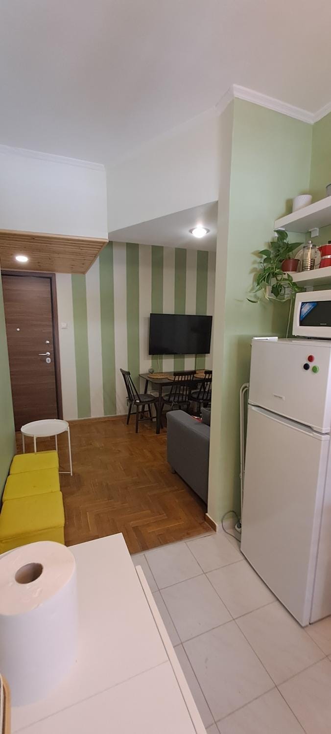 Athens Stadium path quiet & central 4 persons apartment Apartment in Athens