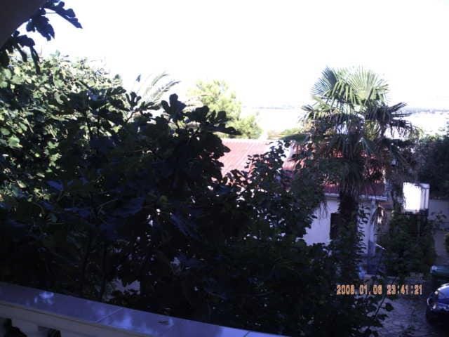 Apartments Palma Apartment in Zadar County