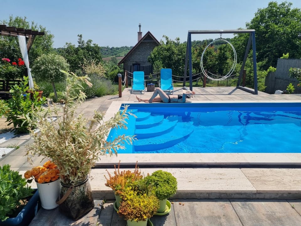 Vila Stancevic wellness House in Vojvodina