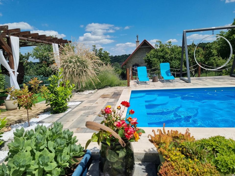 Vila Stancevic wellness House in Vojvodina