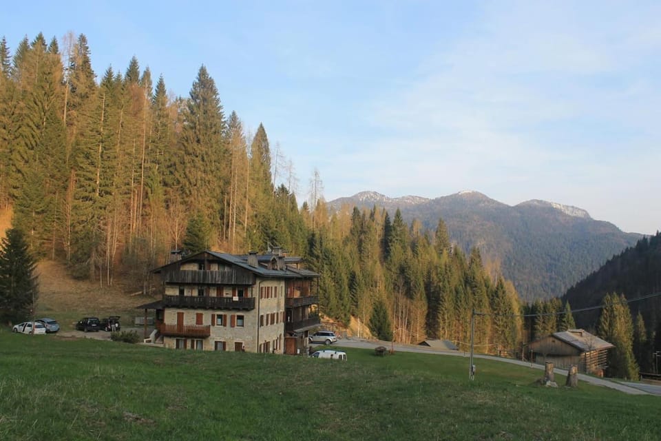 Property building, Natural landscape, Garden