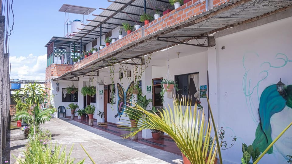 Shoffi's House Backpackers Bed and Breakfast in Tarapoto