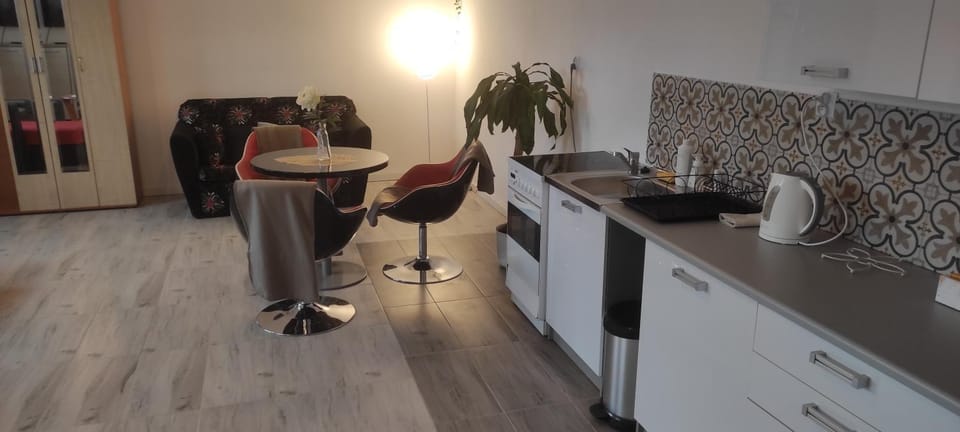 Studio Red Kot Apartment in Poland