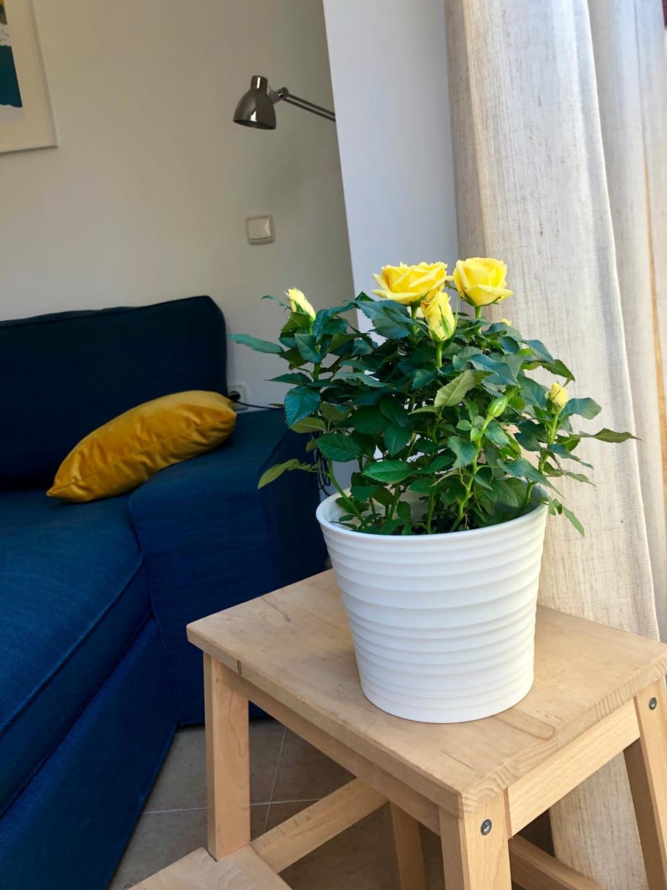 Apartamentos Vida Almería Apartment in Almería